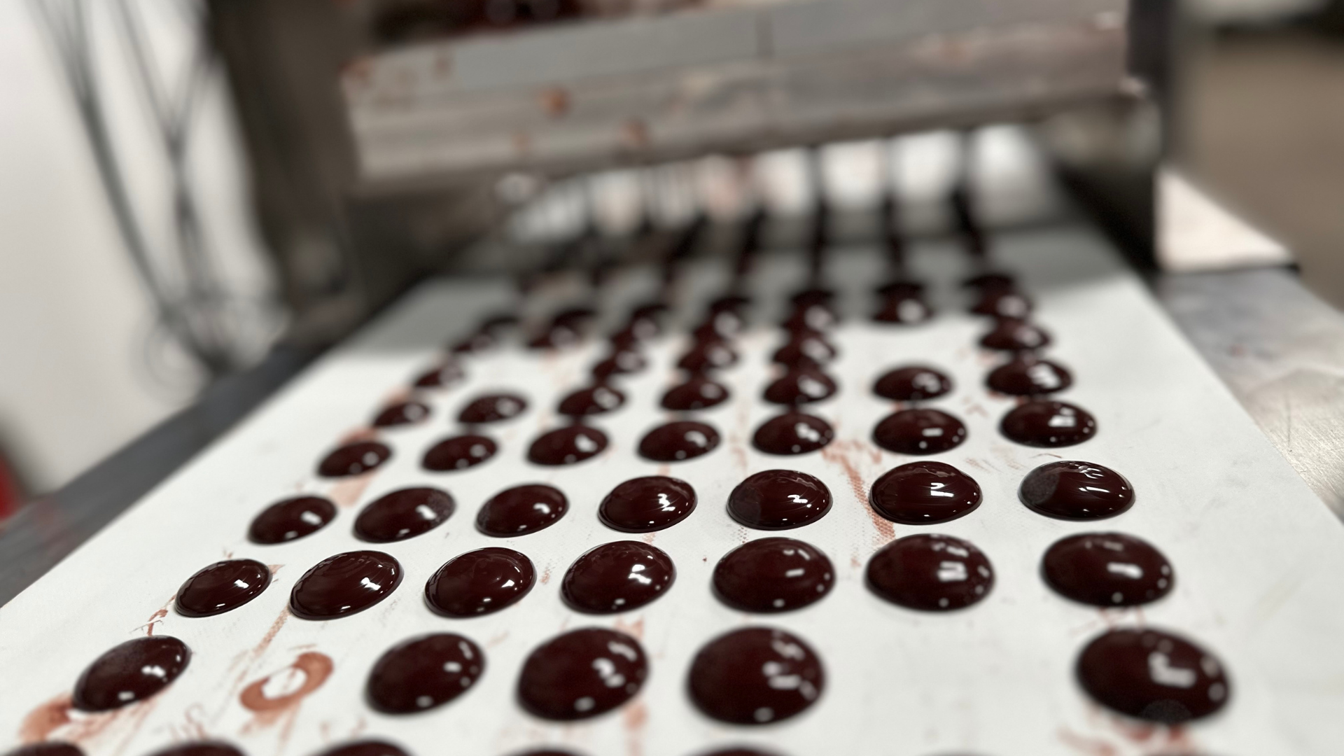 White Label Chocolate - Bond Offering